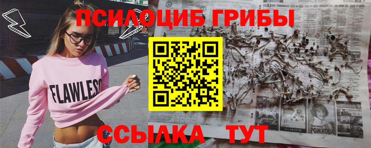 Галлюциногенные грибы мицелий  Вход с VPN  Тверь 