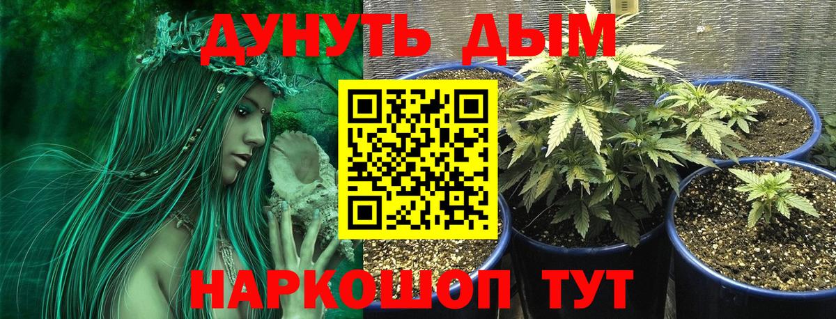 Каннабис AK-47  Бошки марихуана семена  Бошки марихуана марихуана  Вход с VPN  Конопля Amnesia  Тверь 